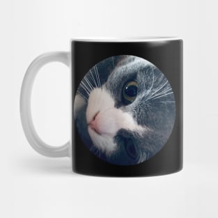 Playful Cat / Pictures of My Life Mug